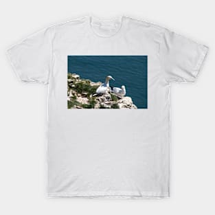 Pair of gannets at Bempton Cliffs T-Shirt